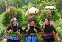 derevnja pan hou Pan Hou v provincii ha giang Ha Giang 1
