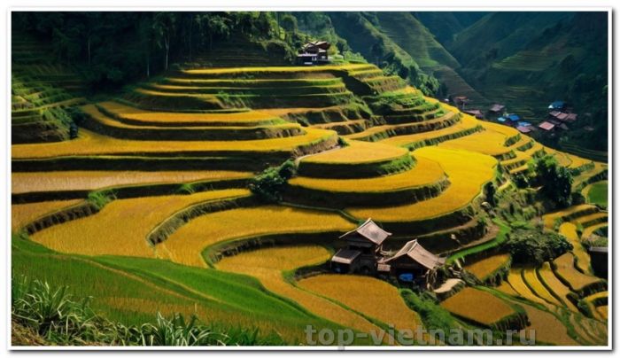 poster sapa rice terraces and hill tr 1